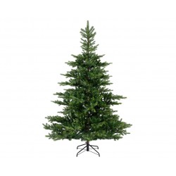 Sapin Grandis Vert En...