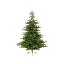 Sapin Grandis Vert En...