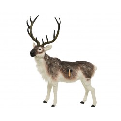 Renne Bois Cerf Blanc Chaud...