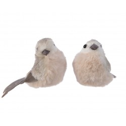 Oiseau Sur Clip Gris Clair...