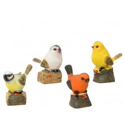 Oiseau Siffleur Avec...