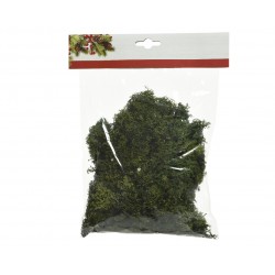 Sachet Tillandsia Vert En...