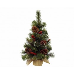 Sapin Neige/Baie/P.Pin...