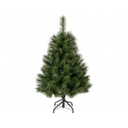 Sapin Ontario Vert H120 En...