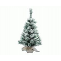Mini-Arbre Vancouver...