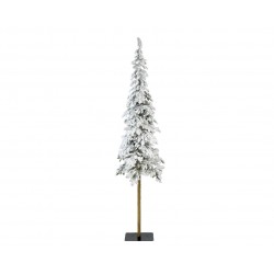 Sapin Alpine Vert/Blanc En...