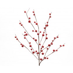 Branche Baie Rouge En...