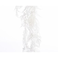 Tige D'Asparagus Blanc En...