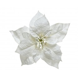 Poinsettia Sur Clip Blanc...