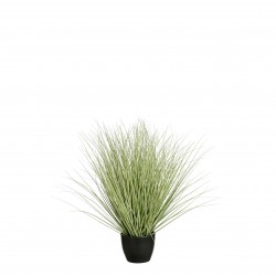 Graminée En Pot Vert En Pvc...