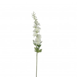 Tige De Delphinium Blanc En...