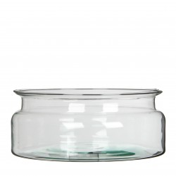 Coupe Mathew  Transparent...