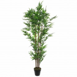 Bambou En Pot Vert En...