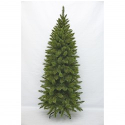 Sapin Bristlecone Pilier...