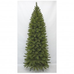 Sapin Bristlecone Pilier...