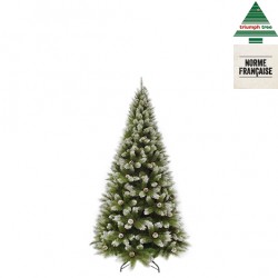 Sapin Pomme De Pin...