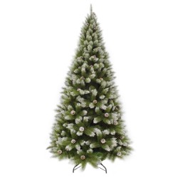 Sapin Pomme De Pin...