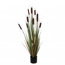 Typha En Pot Marron Pvc...