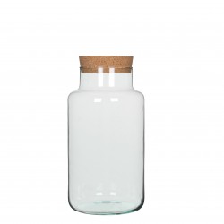 Bocal Chela  Transparent En...