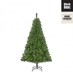 Sapin Charlton 525Br Vert...