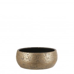 Coupe Clemente Rond Or En...