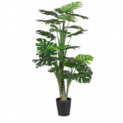 Monstera En Pot  Vert En...
