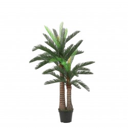 Cycas Palmier En Pot Vert...