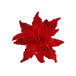 Poinsettia Sur Clip Rouge...
