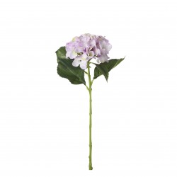 Tige D'Hortensia Lilas En...