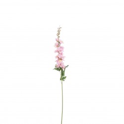 Tige De Delphinium Rose En...