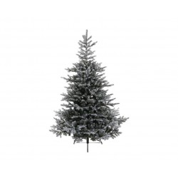 Sapin Enneigé Grandis...