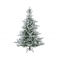 Sapin Grandis Vert/Blanc...