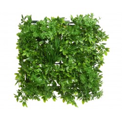 Carré D'Herbe Vert En...