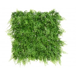Carré De Fougère Vert En...