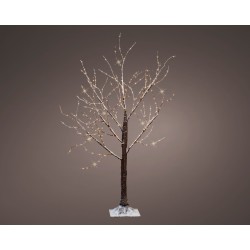 Bouleau Microled...