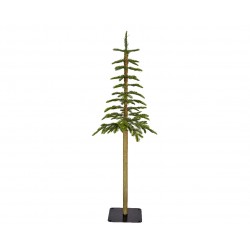 Sapin Alpine Vert Ø36-H150...