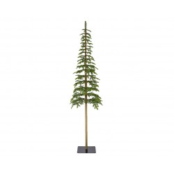 Sapin Alpine Vert En...