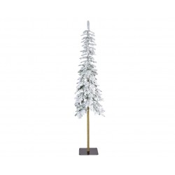 Sapin Enneigé Alpine...