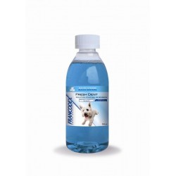 Fresh dent petit chien -...