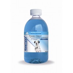 Fresh dent grand chien -...