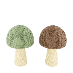 Champignon À Poser...