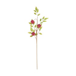 Tige De Pomme Rouge En...