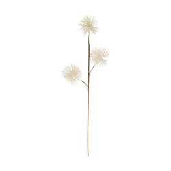 Tige De Pompom Blanc En...