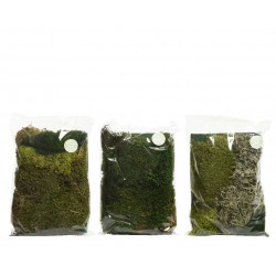 Sachet Mousse Vert En...