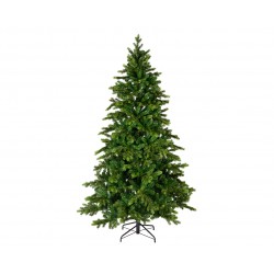 Sapin Galloway Vert En...