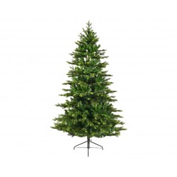 Sapin Galloway En...