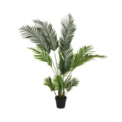 Areca En Pot Vert En...
