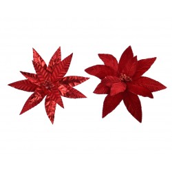 Poinsettia Velours Sur Clip...
