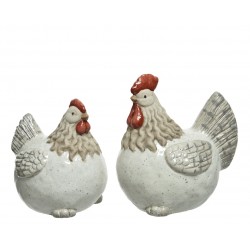 Poule Blanc Cassé En Terre...