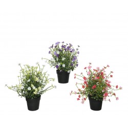 Fleurette En Pot...